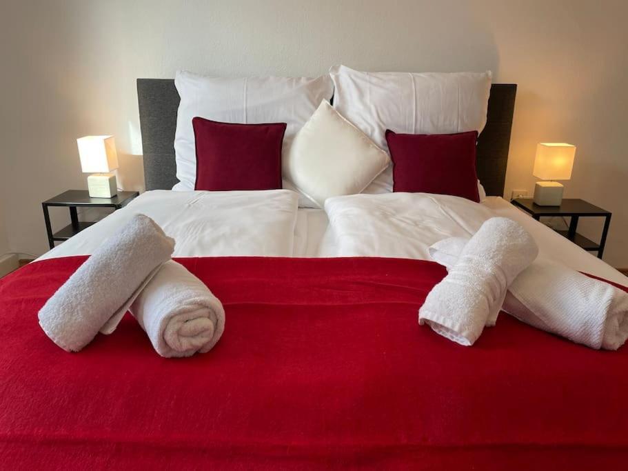 Black Forest Apartment บาเดน-บาเดน ภายนอก รูปภาพ